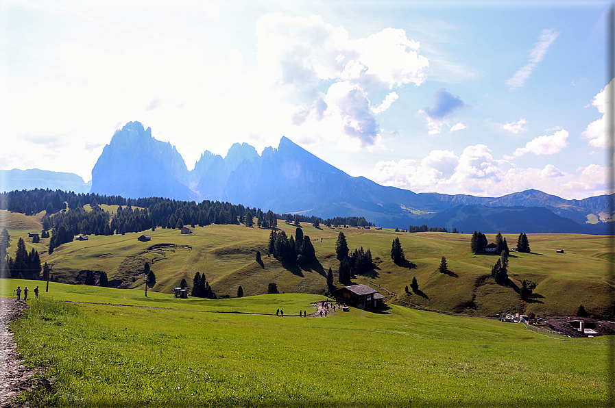 foto Alpe di Siusi